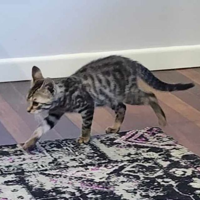 Photo of Billbie