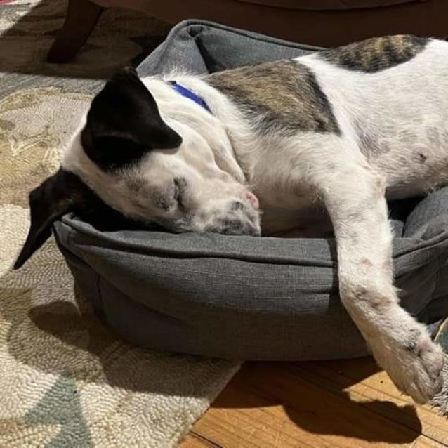 Photo of Vincent Crabbe