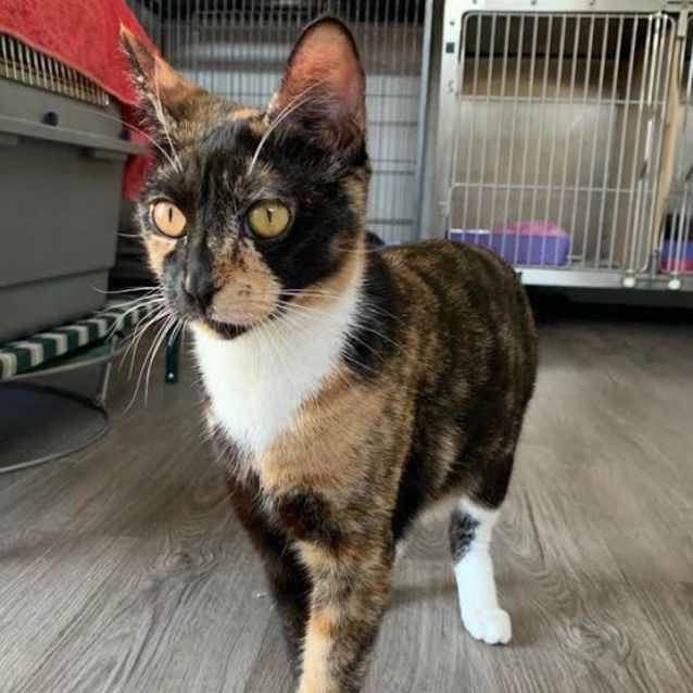 Photo of Wilma