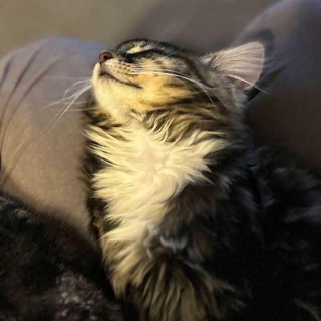 Photo of Lucy   Located In Surrey Hills