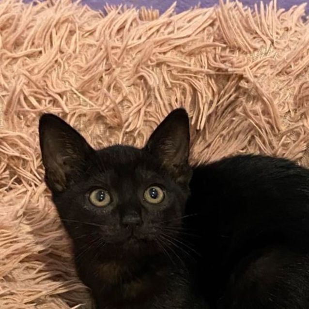 Photo of Nora