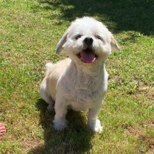 Photo of Max 