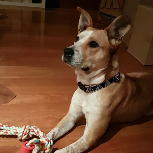 Photo of Akira 