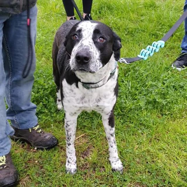 Photo of Bonnie Dl2527