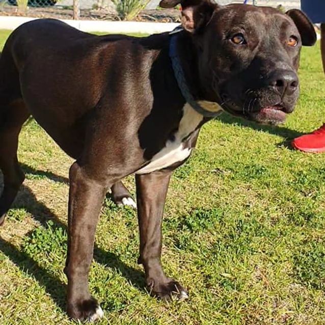 Photo of Dulcie Dl2459