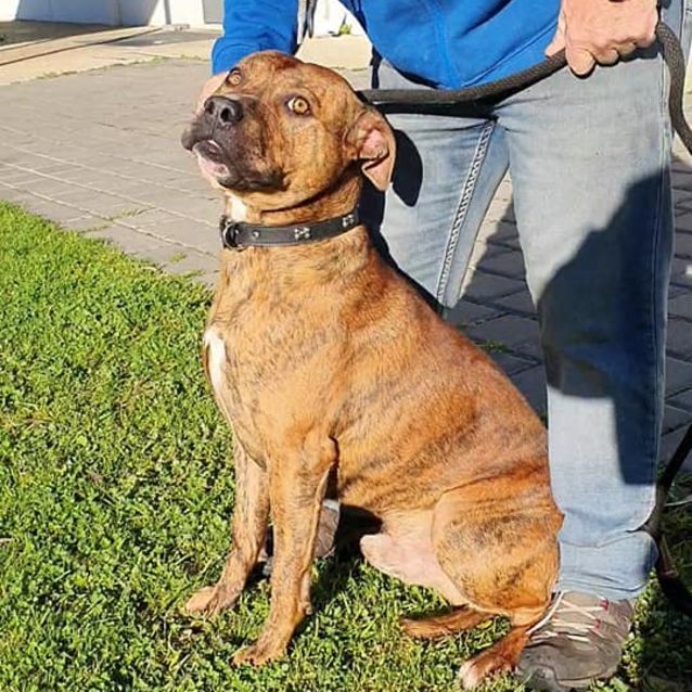 Photo of Little Pac Dl2491