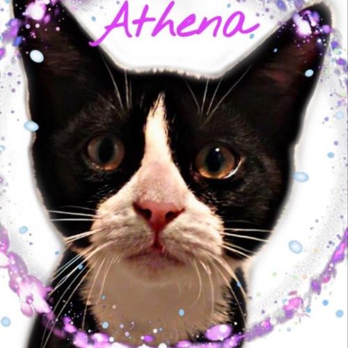 Athena