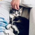 Photo of Twix