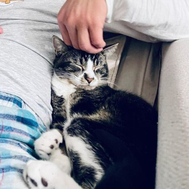 Photo of Twix