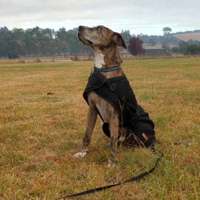 Photo of Neo