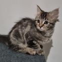 Photo of Margarita