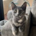 Photo of Tina 