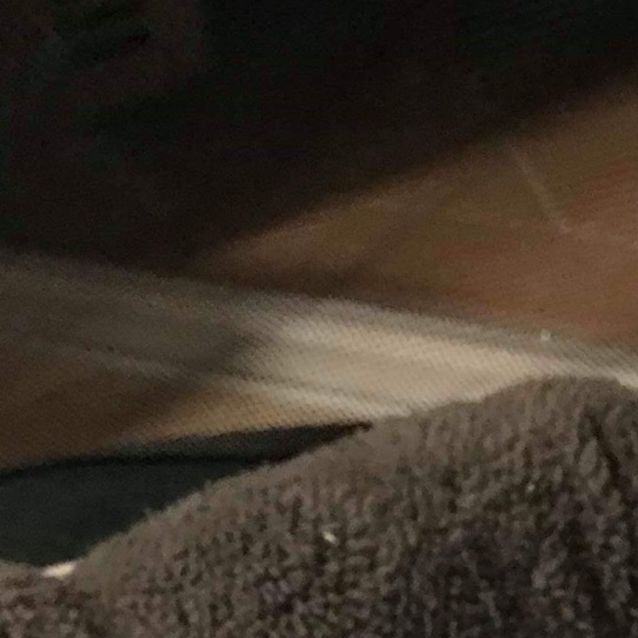 Photo of Archie & Shelly