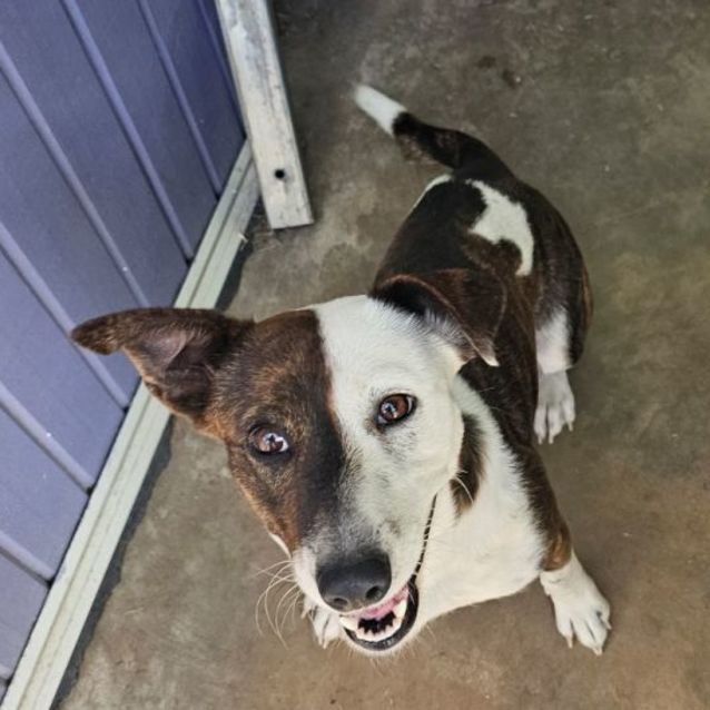 Photo of Penny