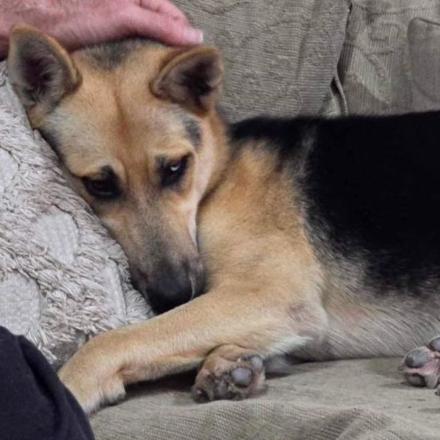 Photo of Satine Kryze