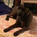 Photo of Ella
