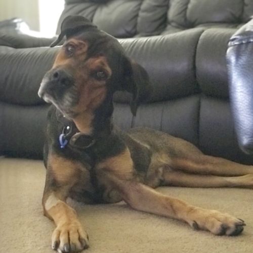 Lily (on Adoption trial)