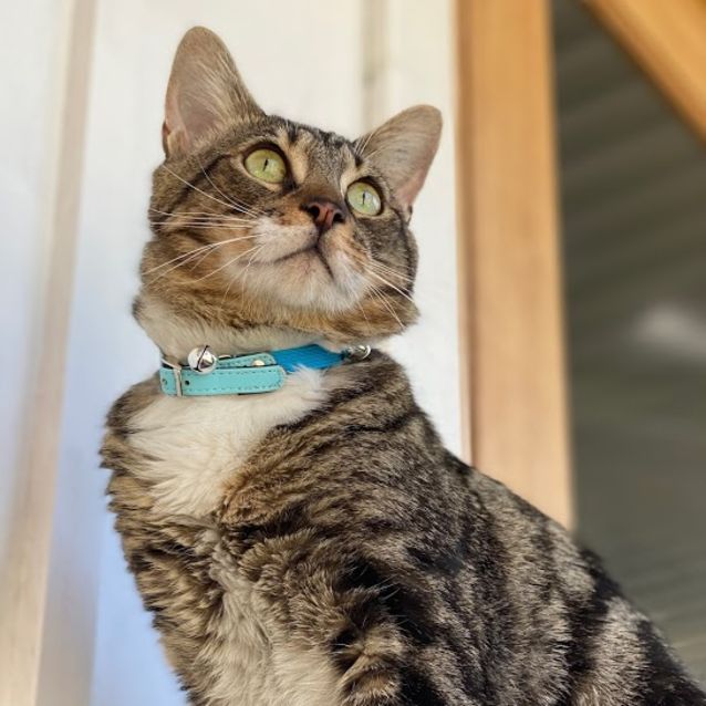 Photo of Charlie Bubbles