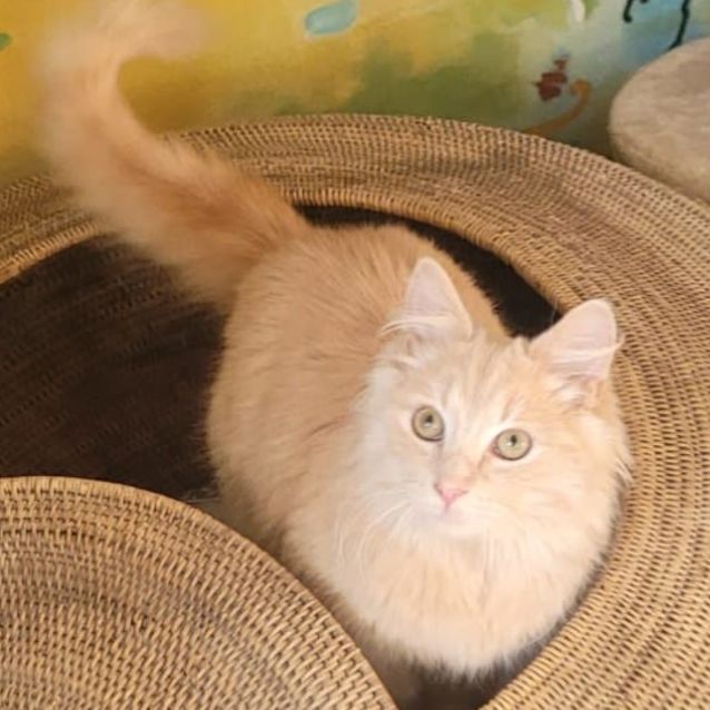 Photo of Quinn