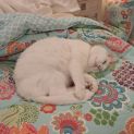 Photo of Nudge