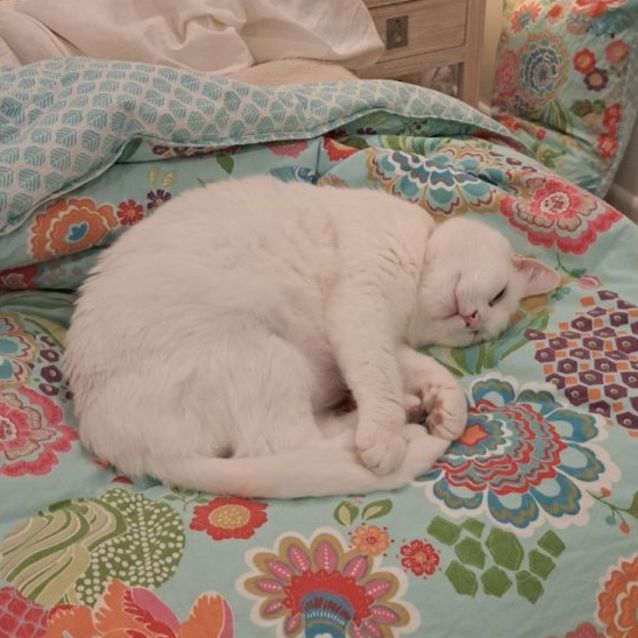Photo of Nudge