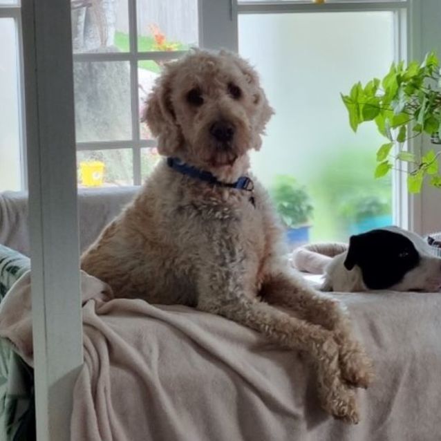 Photo of D856 Shooki