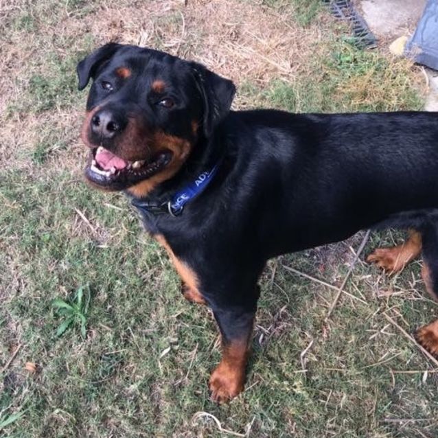 Photo of Murphy