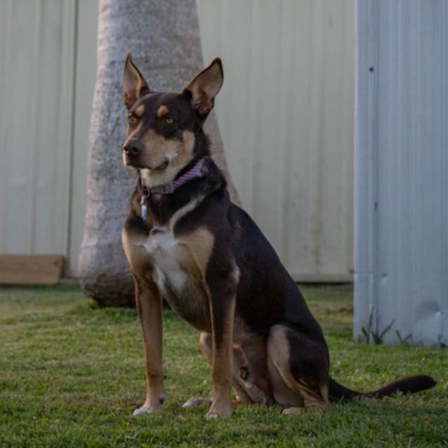 Photo of Lennox Aka Lenny