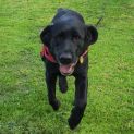 Photo of Georgie Wiggles