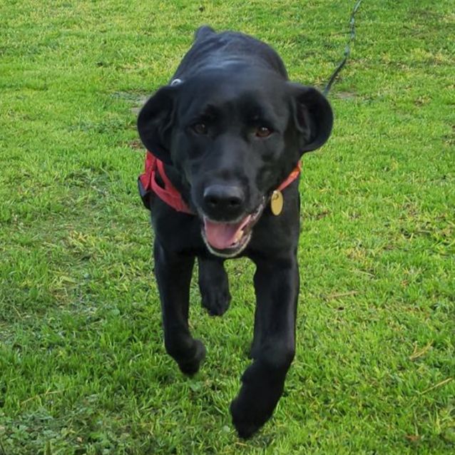 Photo of Georgie Wiggles