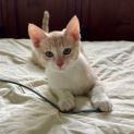 Photo of Sandy