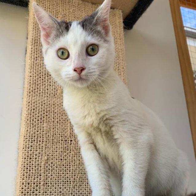 Photo of Spirit