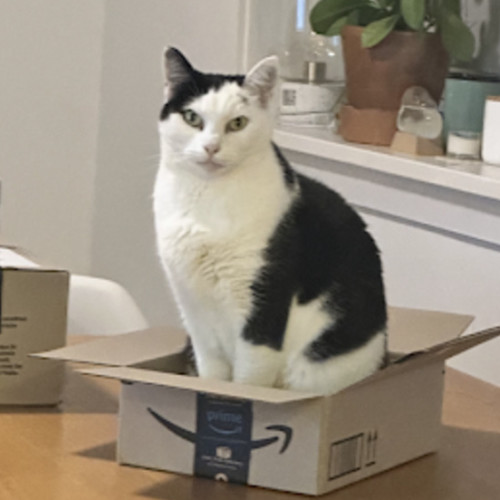 No photo for Ray Ray