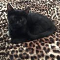 Photo of Armani