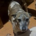 Photo of Peggy