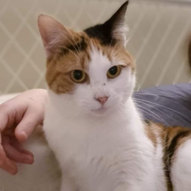 Photo of Regina George (Located In Werribee South)