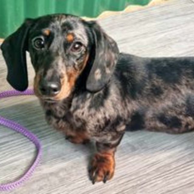 Photo of Nellie
