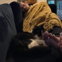 Photo of Peanut