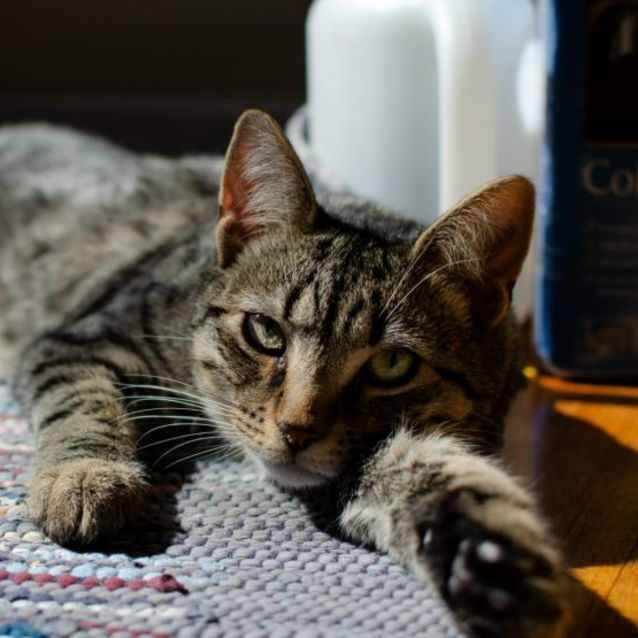 Photo of Hudson 💖