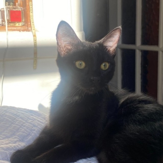 Photo of Sabrina