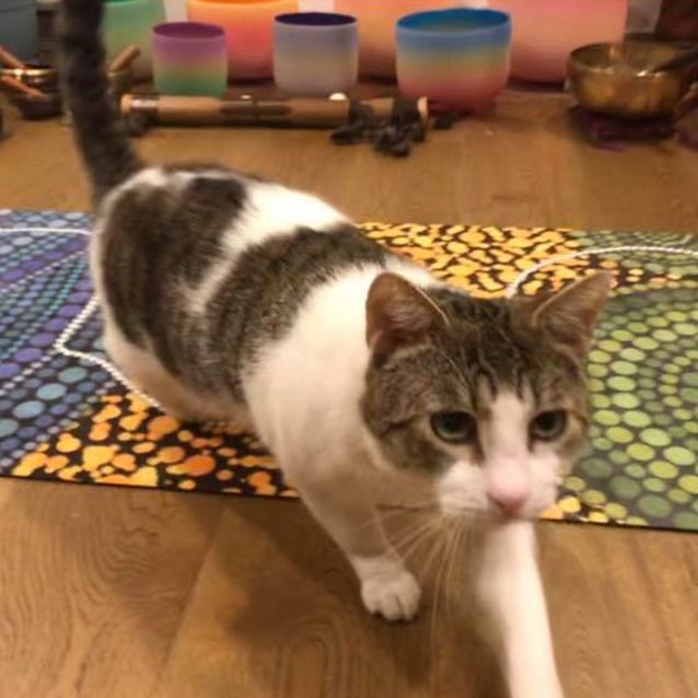 Photo of Tommy