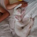 Photo of Alice And Freddie