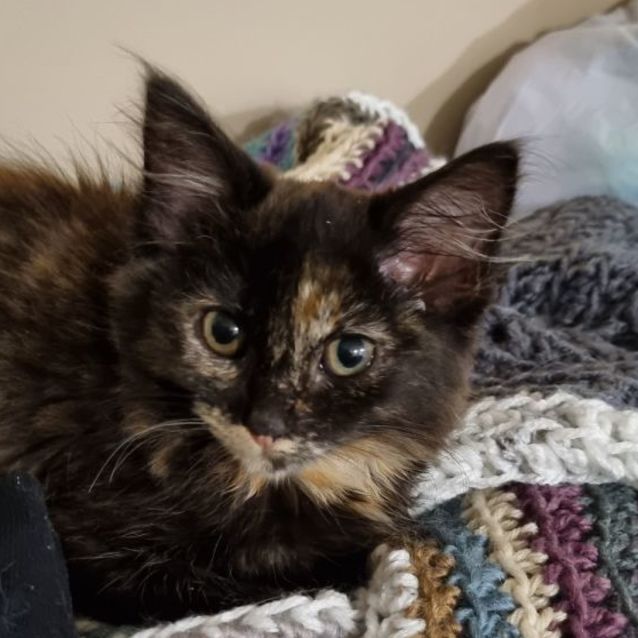 Photo of Zieria 💜🌻