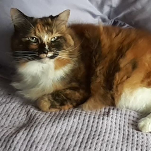 Photo of Archie And Aurora