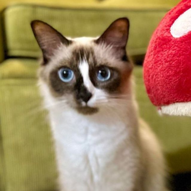 Photo of 🌻 Florence 🌻