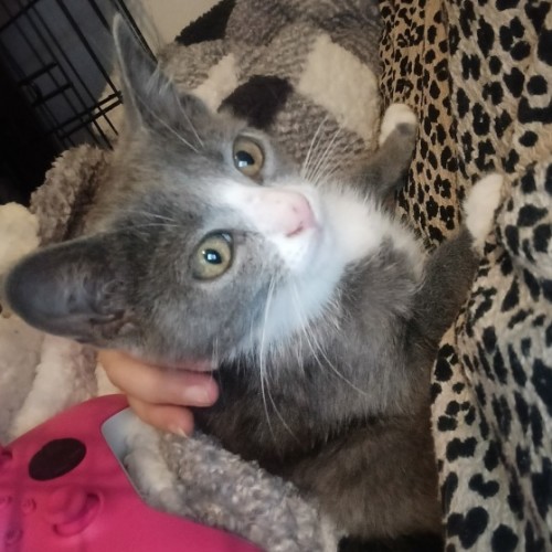 No photo for Stormy❤️