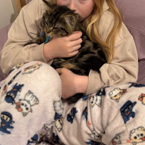 Bruno meet me at Petstock Hastings 