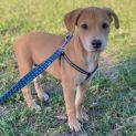 Photo of Hazel