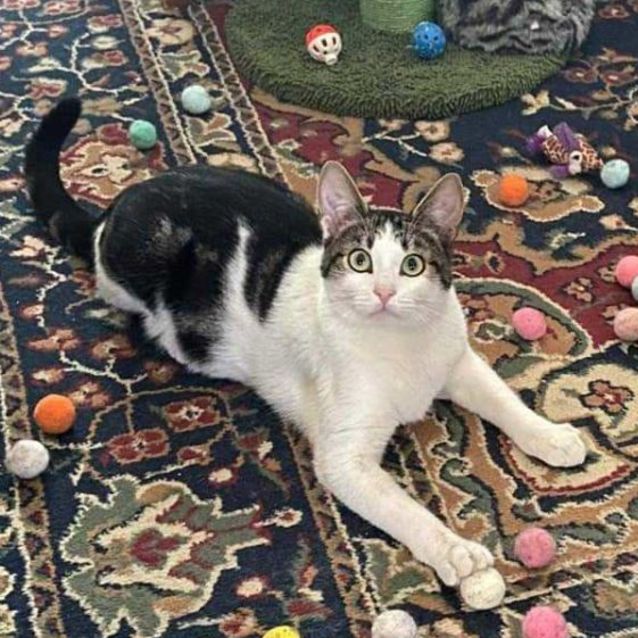 Photo of Dollar   Located In Preston 