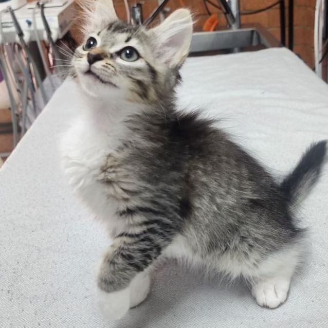 Photo of Frosty ❄️☃️